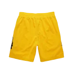 Serenity Mesh Shorts - Gold