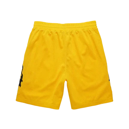 Serenity Mesh Shorts - Gold